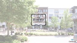 The Summit at Fritz Farm - Phase II