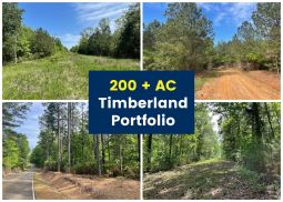 242 +/- Acre Land Portfolio