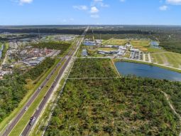 Corner of Hwy 776 & Tampa Bay Rays Stadium