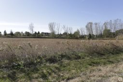 Lockport 4.7 acres