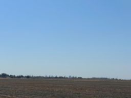 340.49 Acres of Prime Farmland