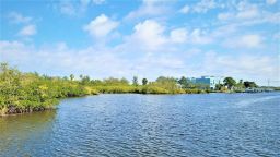 Anclote River Frontage Land