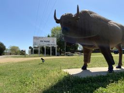 Buffalo Land Blue River RV Park