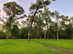 Mueschke road near FM 2920