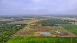 250 +/- Acres In Atascosa County