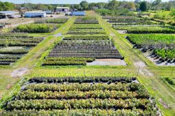 Lakeland Nursery 14.02± Acres