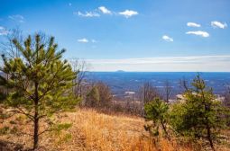 87 Acre Spring Pond Trail