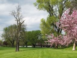 Willow Brook Golf Course