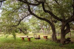 Jester King Inn