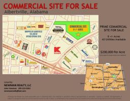 Commercial Site