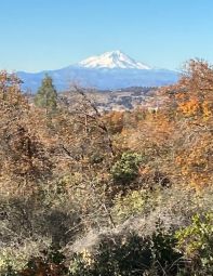 Mt. Lassen Ridge