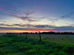 North Fresno Land Play