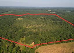 EAST TEXAS TIMBER/HUNTING/RECREATIONAL LAND F