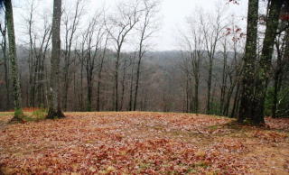 1 Elk Ridge Rd, Ferguson, NC 28624