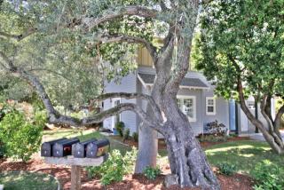 1 Illes Ct, Novato CA 94945 exterior