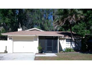 1251 Foxwood Dr, Lutz, FL