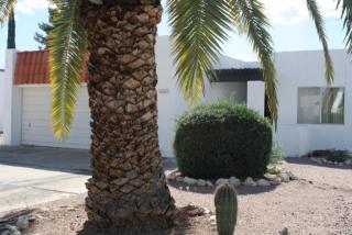 1581 Via Encanto, Tucson, AZ