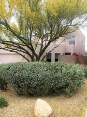 6209 Ventana View Pl, Tucson, AZ