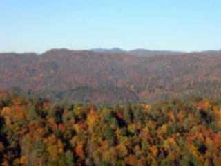 10 Elk Ridge Rd, Ferguson, NC 28624
